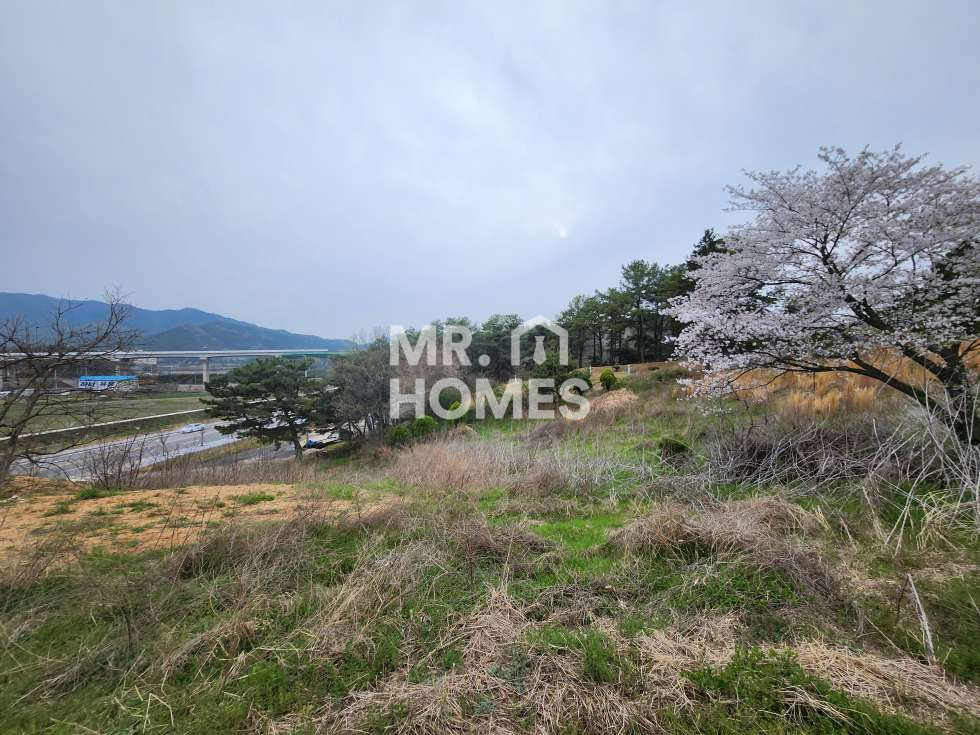 전북 전주완산구 용복동 용복동 토지매매 매매 매물번호 11593 사진 2