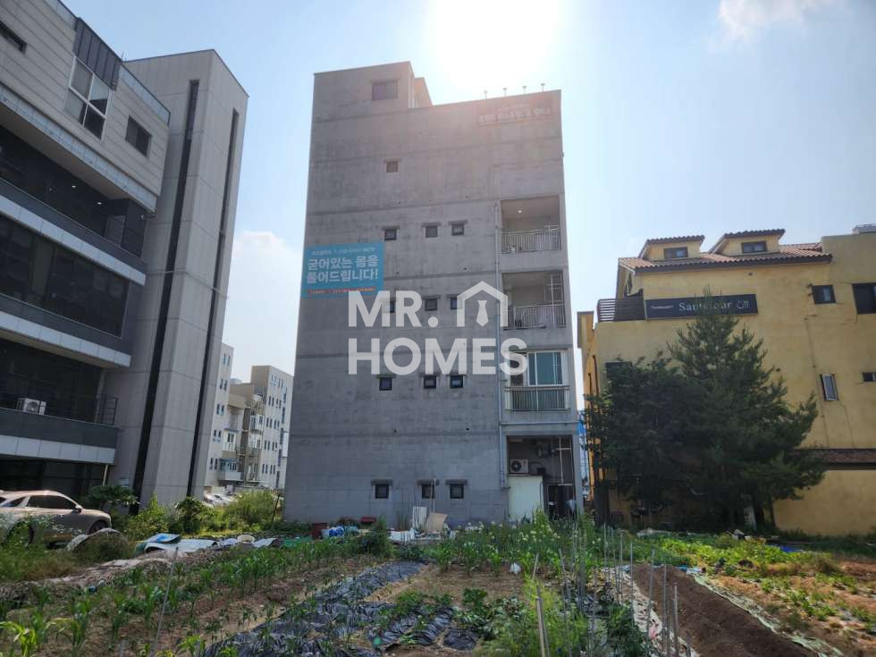 전북 전주완산구 효자동3가 신시가지 상가건물 통매매 매매 매물번호 11699 사진 3