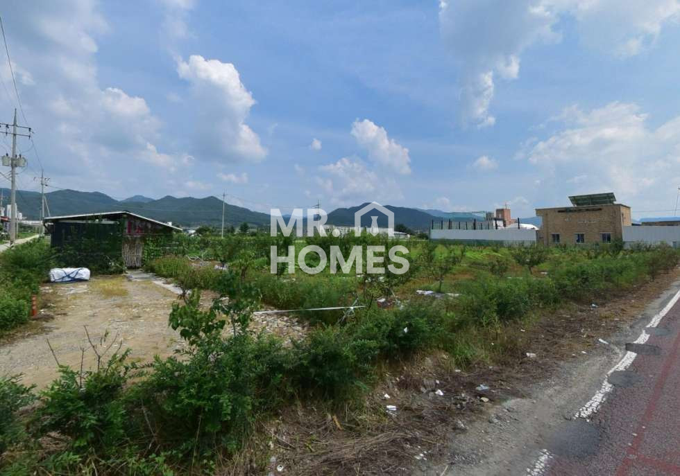 전북 전주완산구 평화동3가 2차선 도로변 토지매매. 분할가능 매매 매물번호 12704 사진 3